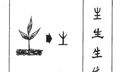贝因美一段奶粉和二段奶粉有什么区别-贝因美红爱-贝因美和贝因爱什么关系,中国贝因美金爱 与爱 区别网站